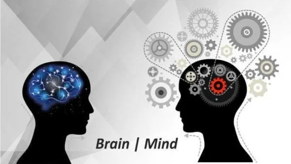 brain vs mind