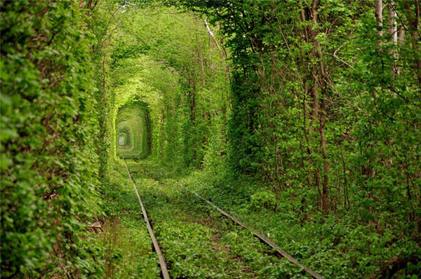 Love is like a train track