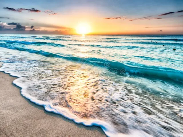 True Freedom: How Managing Your Mind Sets You Free